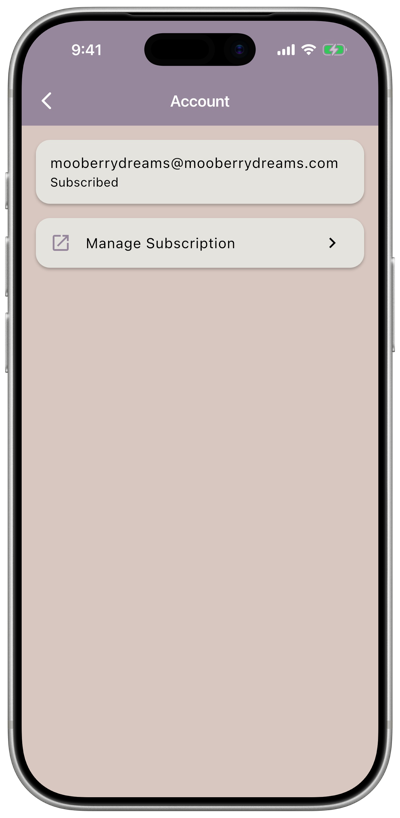 The account menu showing a quick subscription status